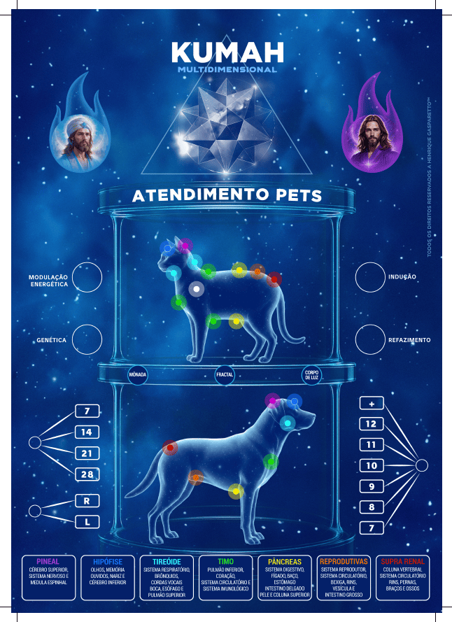 Interface Kumah para atendimento de PETs